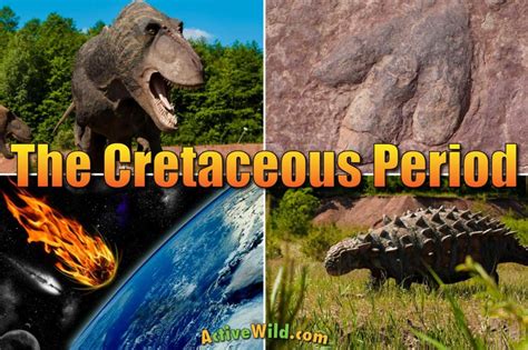 cretaceous period facts info  kids adults  ultimate guide