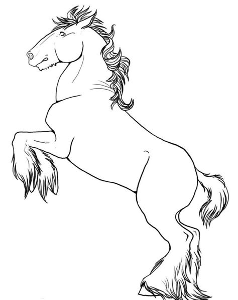 coloring pages horse  rearing horse coloring pages horse
