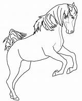 Rearing Caballos Kleurplaten Caballo Kleurplaat Paarden Cavallo Steigeren Cavalli Saltando Supercoloring Uitprinten Zampe Arabo Due Paard Horses Gratistodo sketch template