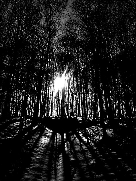 winter walk dark forest by denyg on deviantart
