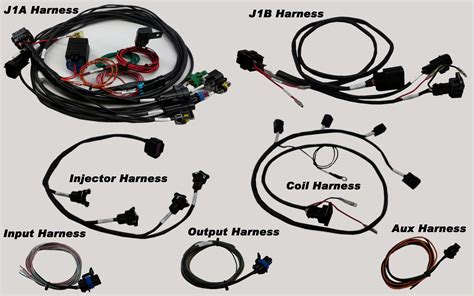 mps racing holley efi wiring