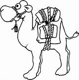 Camel Coloring Pages Animal Picgifs sketch template