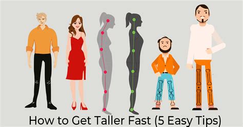 taller fast  easy tips