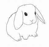 Bunny Lop Eared Lineart Coloringhome Rabbits Animal Azcoloring sketch template