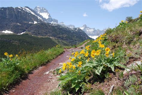 Spring Activities In Glacier National Park Glacier