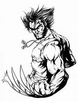 Wolverine Coloring Pages Animal sketch template