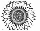 Sunflower Drawing Simple Drawings Clipart Coloring Pages Sun Choose Board Flowers Mandala Flower Small Draw sketch template