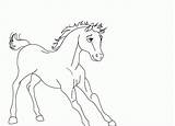 Spirit Coloring Pages Stallion Cimarron Riding Drawing Horse Foal Rain Printable Colorings Sheets Getdrawings Lineart Fancy Getcolorings Bambi Library Popular sketch template