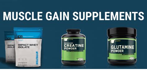 muscle gain supplements idea express