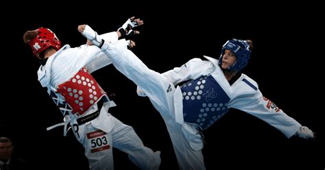 teknik tangkisan  teknik elakan  olahraga taekwondo edukasi