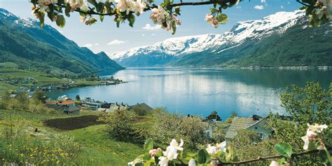 fjord tours official travel guide  norway visitnorwaycom