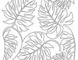 Coloring Plants Pages Leaves Jungle Rainforest Printable Sea Leaf Drawing Template Getdrawings Plant Templates Ocean Getcolorings Personal Color Drawings Paintingvalley sketch template
