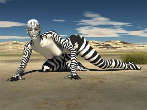 Zebra Girl Operation18 Truckers Social Media Network And Cdl Driving