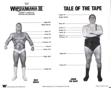 Hulk Hogan Vs Andre The Giant Tale Of The Tape Pro