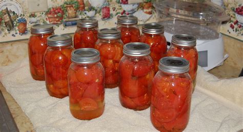 canned stewed tomatoes canning recipes canned stewed tomatoes