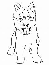 Husky Realistic Shepherd Pitbull Coloringhome sketch template