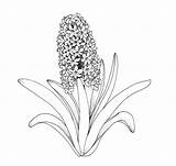 Coloring Pages Flower Texture Getdrawings Spring sketch template