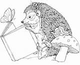 Riccio Animal Hedgehogs Tana sketch template