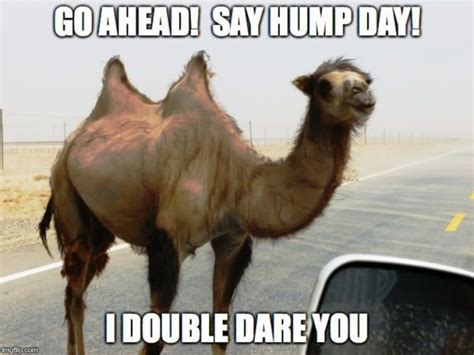 28 Funniest Happy Hump Day Memes That Makes You Fun Funny Happy Hump