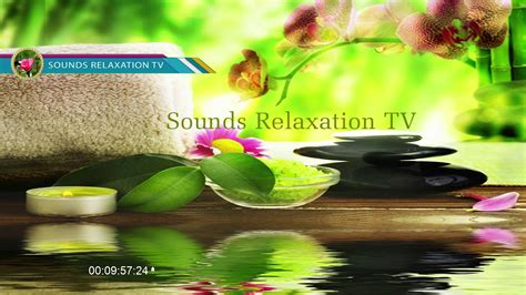 morning relaxing music peaceful and relaxing piano music