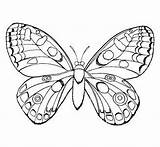 Coloring Pages Easy Girls Teens Butterfly Insect Do Motyle Printable Beautiful Kolorowania Google Color Cool Colorings Getdrawings Getcolorings Popular Zapisano sketch template