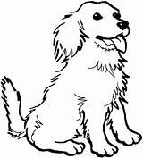 Coloring Dog Happy Dogs sketch template