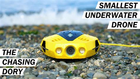 worlds smallest underwater drone chasing dory youtube
