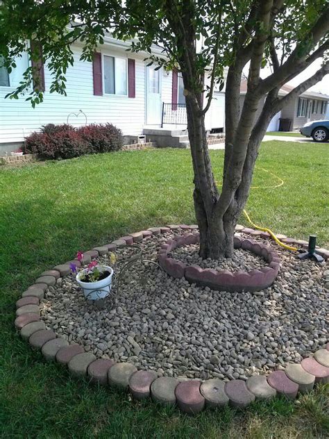 pin  jeanie rodriguez  diy ideas landscaping  trees lawn