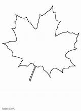 Printable Leaf Leaves Coloring Pages Template Kids Stencil Fall Maple Crafts Craft Pattern sketch template