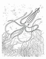 Coloring Pages Sea Underwater Animals Adult Under Deep Book Adults Baby Ocean Colouring Getdrawings Getcolorings Oceana Creative Animal Color sketch template