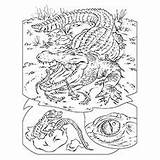 Wild Coloring Animals Pages Color Kids Animal Printable Colouring Top Little sketch template