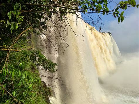 iguassu falls brazil bird park itaipu dam panoramic tour