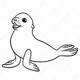 Seal Baby Cute Drawing Otter Getdrawings Coloring Pages Clipartmag sketch template