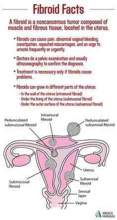 postmenopausal uterus size radiology alternatives cycle