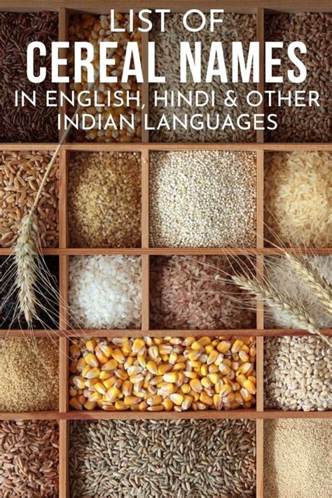 cereals names  english hindi marathi tamil telugu kannada