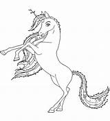 Unicorno Gratuitamente Scarica sketch template