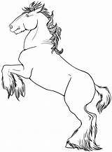 Cal Colorat Desene Planse Konie Animale Pferde Hevoset Domestice Horse Kolorowanki Imagini Fise Tulosta sketch template