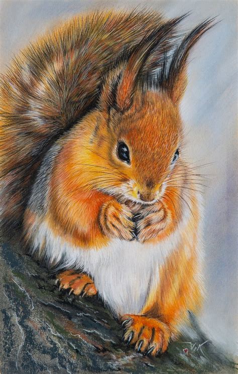squirrel painting realistic original art squirrel pastel hand painted