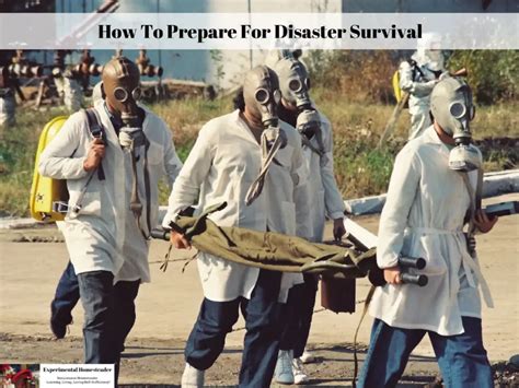 prepare  disaster survival experimental homesteader