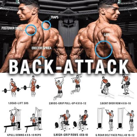 exercises attack huge  training programs video