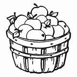 Apple Coloring Picking Printable sketch template