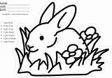 Rabbit Grass Cartoon Coloring Color Pages Clipart Numbers Cliparts Library Clip Comments Activity Fun Coloringhome Favorites Add sketch template