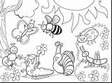 Bugs Ladybug sketch template