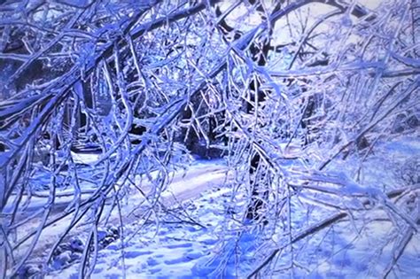 ice storm   gorgeous timelapse video