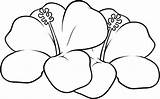 Coloring Flower Hawaiian Pages Popular sketch template