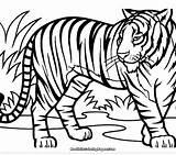 Pages Coloring Detroit Getcolorings Tiger sketch template