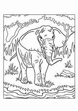 Savane Afrique Africains Africaine Adulte Hugolescargot éléphant Sauvages sketch template