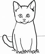 Cat Coloring Pages Easy Grass Sitting Printable Simple Funny Cartoon Scary Cats Kids Color Getcolorings Sheets Kitty Getdrawings Clipartmag Vector sketch template