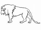 Lion Sad Coloring Printable sketch template