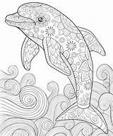 Dolphin Pdf Verbnow Dolphins Jumping sketch template